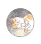 cat_circle（個別スタンプ：8）