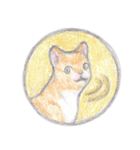 cat_circle（個別スタンプ：11）