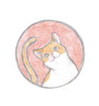 cat_circle（個別スタンプ：12）