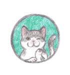 cat_circle（個別スタンプ：14）