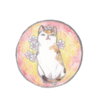 cat_circle（個別スタンプ：30）