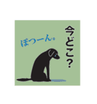 藤代さんちのやんちゃ犬アポロ（個別スタンプ：6）