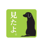 藤代さんちのやんちゃ犬アポロ（個別スタンプ：35）