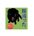 藤代さんちのやんちゃ犬アポロ（個別スタンプ：36）