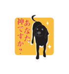 藤代さんちのやんちゃ犬アポロ（個別スタンプ：38）