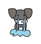 ちょこまろ（個別スタンプ：16）