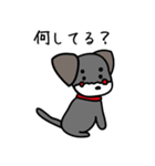 ちょこまろ（個別スタンプ：25）