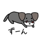 ちょこまろ（個別スタンプ：40）