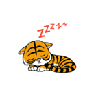 Tiggy（個別スタンプ：3）