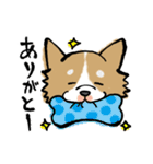 犬のあんちゃん（個別スタンプ：2）