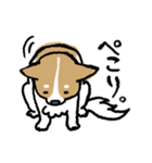 犬のあんちゃん（個別スタンプ：23）