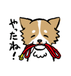 犬のあんちゃん（個別スタンプ：24）