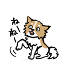 犬のあんちゃん（個別スタンプ：30）