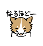 犬のあんちゃん（個別スタンプ：32）