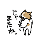 犬のあんちゃん（個別スタンプ：37）