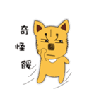 Lang dogs - A B (language papers)2（個別スタンプ：32）