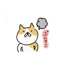 ふつうのねこさん（個別スタンプ：11）