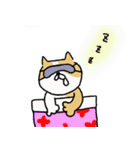 ふつうのねこさん（個別スタンプ：18）