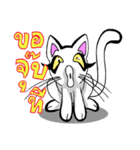 Cat frame（個別スタンプ：6）