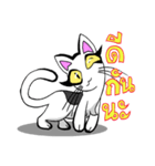 Cat frame（個別スタンプ：18）