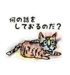 キジトラ猫-ミゼ君-（個別スタンプ：22）