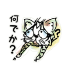 キジトラ猫-ミゼ君-（個別スタンプ：32）