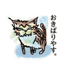 キジトラ猫-ミゼ君-（個別スタンプ：36）