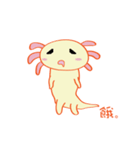 Interesting Axolotl（個別スタンプ：13）