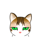 Nine Lives Cat mood（個別スタンプ：6）