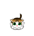 Nine Lives Cat mood（個別スタンプ：35）