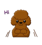 I Love Toy Poodle（個別スタンプ：5）