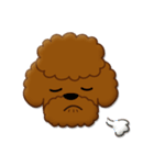 I Love Toy Poodle（個別スタンプ：12）