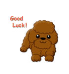 I Love Toy Poodle（個別スタンプ：14）