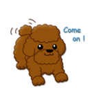 I Love Toy Poodle（個別スタンプ：16）