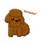 I Love Toy Poodle（個別スタンプ：20）