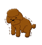 I Love Toy Poodle（個別スタンプ：24）