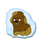 I Love Toy Poodle（個別スタンプ：32）