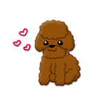 I Love Toy Poodle（個別スタンプ：36）