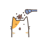 Cat slave diary - Two colors cat（個別スタンプ：27）