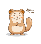 A little Squirrel（個別スタンプ：3）