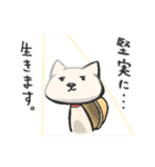 みずから罠にかかるねこ（個別スタンプ：19）