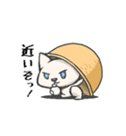 みずから罠にかかるねこ（個別スタンプ：24）