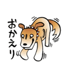 きずだらけの犬 シンバ2（個別スタンプ：3）