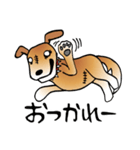 きずだらけの犬 シンバ2（個別スタンプ：4）