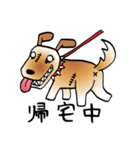 きずだらけの犬 シンバ2（個別スタンプ：5）