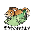 きずだらけの犬 シンバ2（個別スタンプ：8）