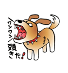 きずだらけの犬 シンバ2（個別スタンプ：10）