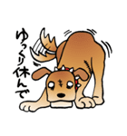 きずだらけの犬 シンバ2（個別スタンプ：28）