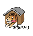 きずだらけの犬 シンバ2（個別スタンプ：32）