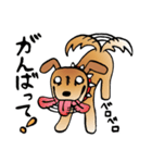 きずだらけの犬 シンバ2（個別スタンプ：34）